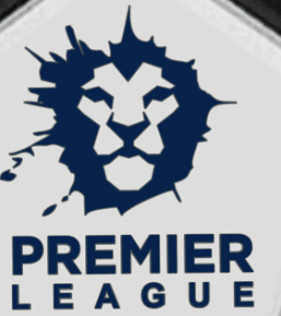 Premier league fake logga